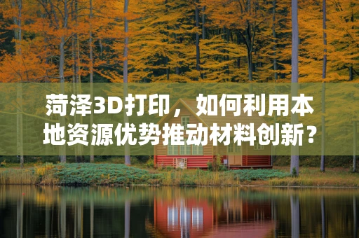 菏泽3D打印，如何利用本地资源优势推动材料创新？