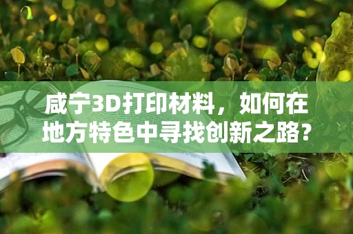 咸宁3D打印材料，如何在地方特色中寻找创新之路？