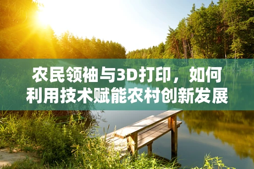 农民领袖与3D打印，如何利用技术赋能农村创新发展？